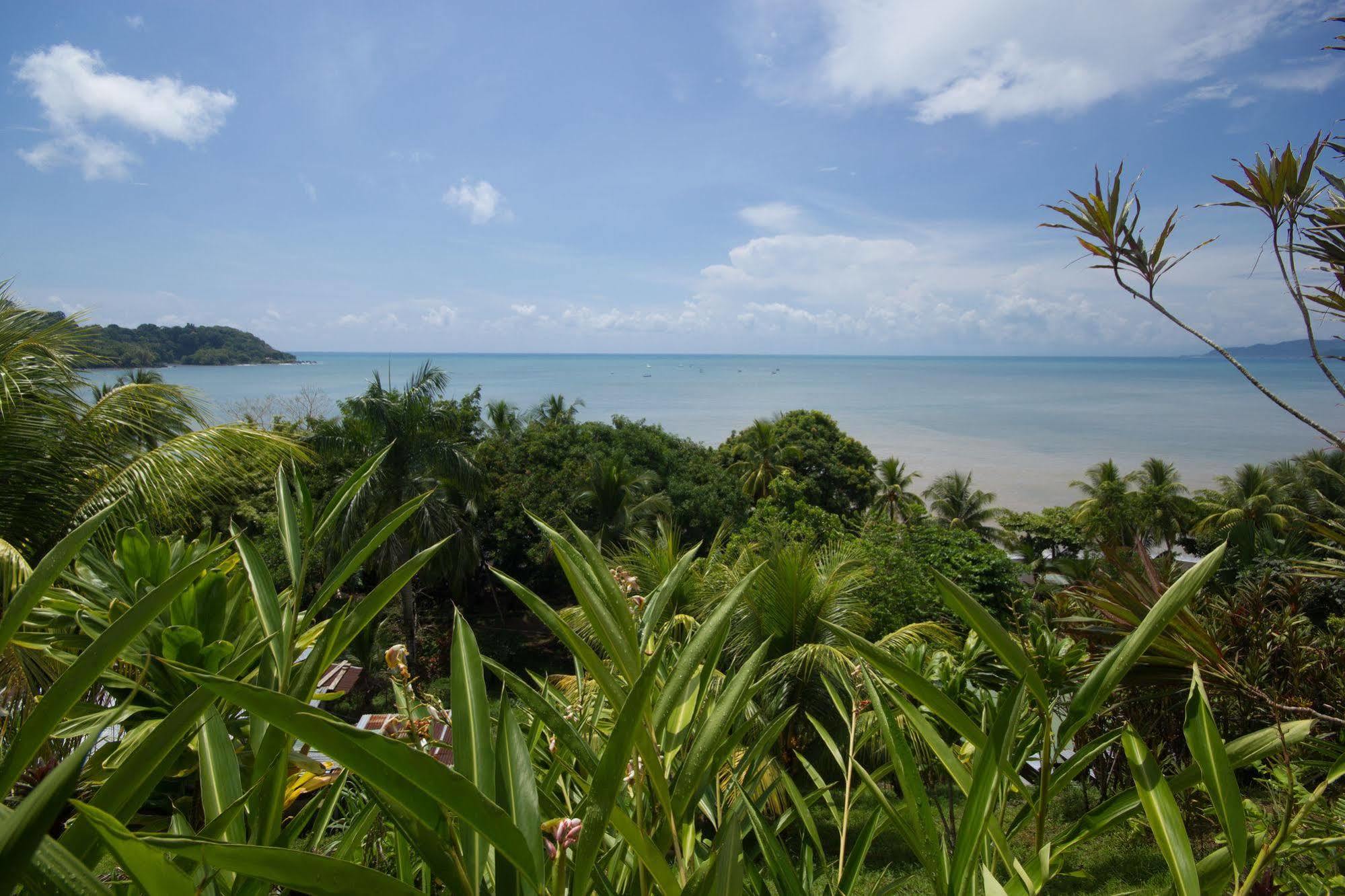Hotel Rancho Corcovado Drake Bay Bagian luar foto