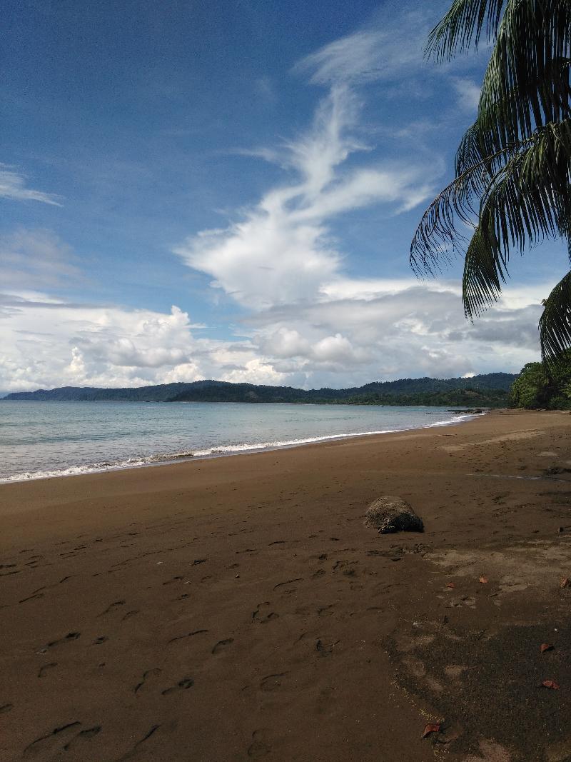 Hotel Rancho Corcovado Drake Bay Bagian luar foto